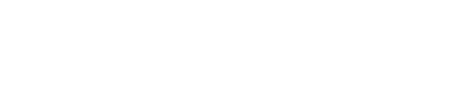 Roy Studio